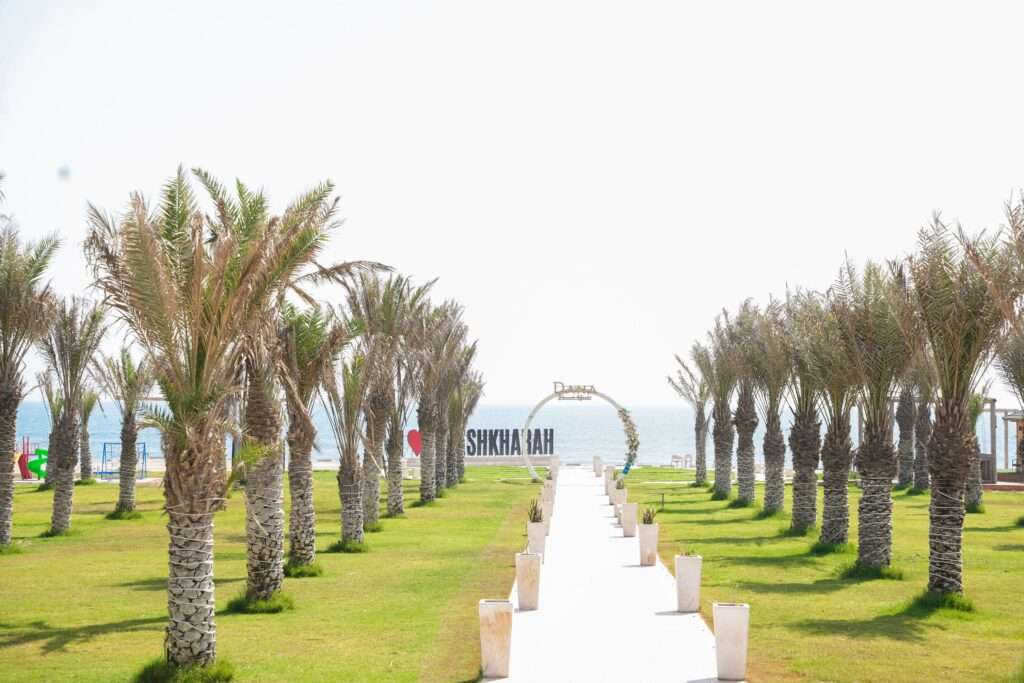 ممر بين النخيل والعشب الأخضر نحو البحر – Palm-lined lawn path leading towards the sea